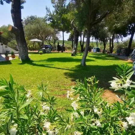 Garden House With A Sea View